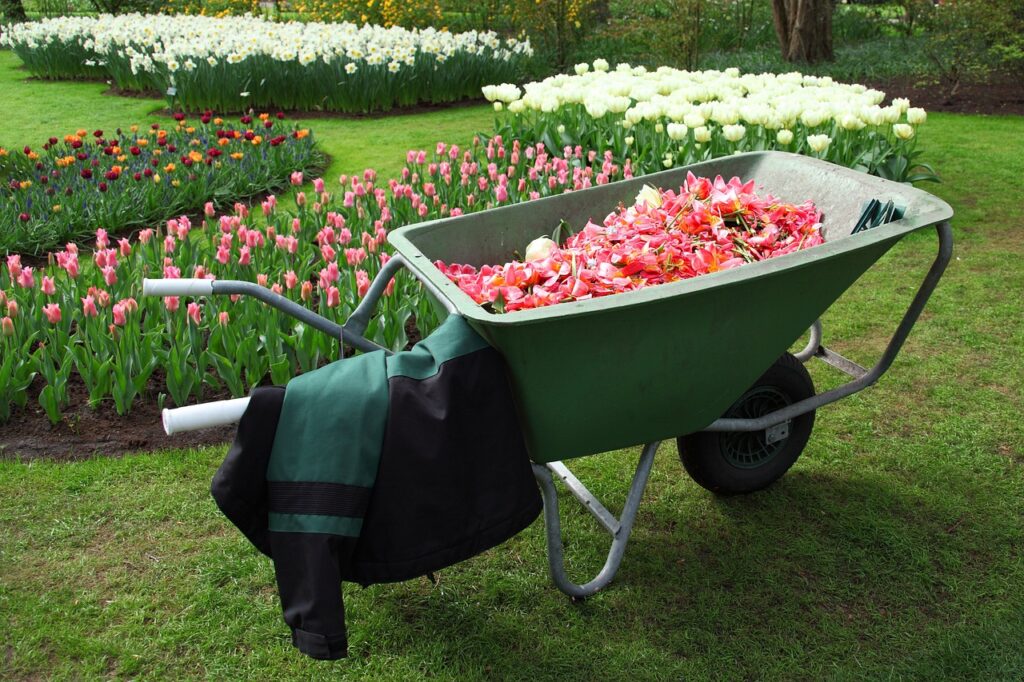 Tipps und Tricks: So bereiten Sie Ihren Garten optimal für den Frühling vor